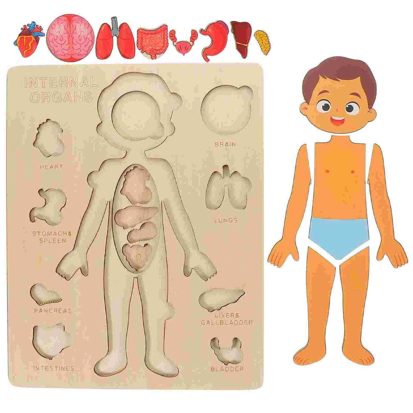 Kids Wooden Montessori Toys Human Body Organs Puzzles Educational Toy Preshool Kindergarten Learning Activities Busy Board